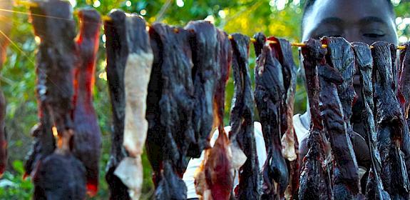 A professional hunter hangs tris of meat to dry during a legal hunting expedition in Kilwe, Tanzania. Photo: S. Obae / TRAFFIC